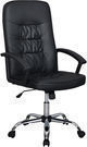 Black High Back Executive Office Leather Ergonomic Chair