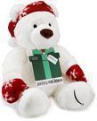 Limited Edition Gund Teddy Bear w/ of Amazon Gift Card