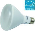 EcoSmart 75-watt Equivalent BR40 Dimmable LED Light Bulb