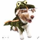 Bootique Alligator Dog Costume