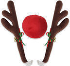 Reindeer Antlers & Red Nose for Cars