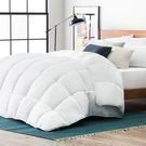 Lucid Down Alternative Queen Comforter