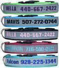 LovelyDog Embroidered Personalized Dog ID Collar
