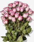 2 Dozen Roses (Amazon Prime Members)