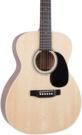 Recording King Acoustic Guitar