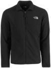 The North Face Men's Glacier Alpine Fleece