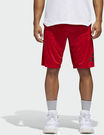 Men's Crazylight Shorts