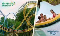 3-Day Admission for One to Busch Gardens & Water Country USA