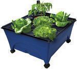 Emsco 24 x 20 Hydroponic Raised Bed System