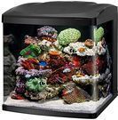 Coralife 32-Gallon LED Biocube Aquarium