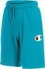 Champion Men's Graphic Powerblend Fleece Shorts