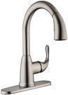 Glacier Bay Dylan Single-Handle Pull-Down Kitchen Faucet