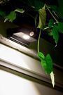 SYLVANIA Motion Activated LED Light